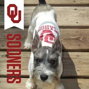 Meet your Posher, Dixie